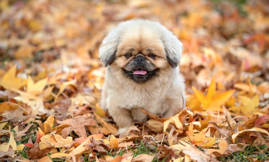 40代から始める骨粗鬆症予防のための生活習慣は？