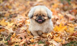 40代から始める骨粗鬆症予防のための生活習慣は？