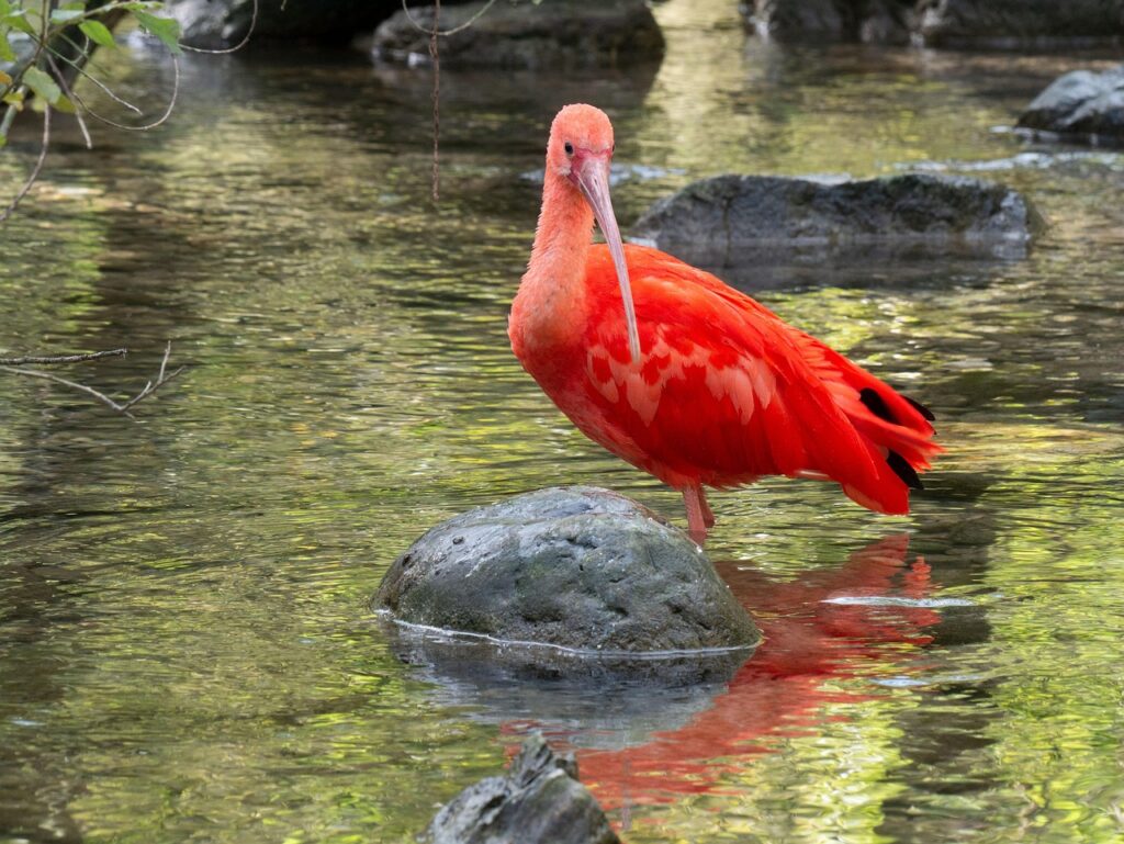 40代が基礎代謝を上げる方法とは？