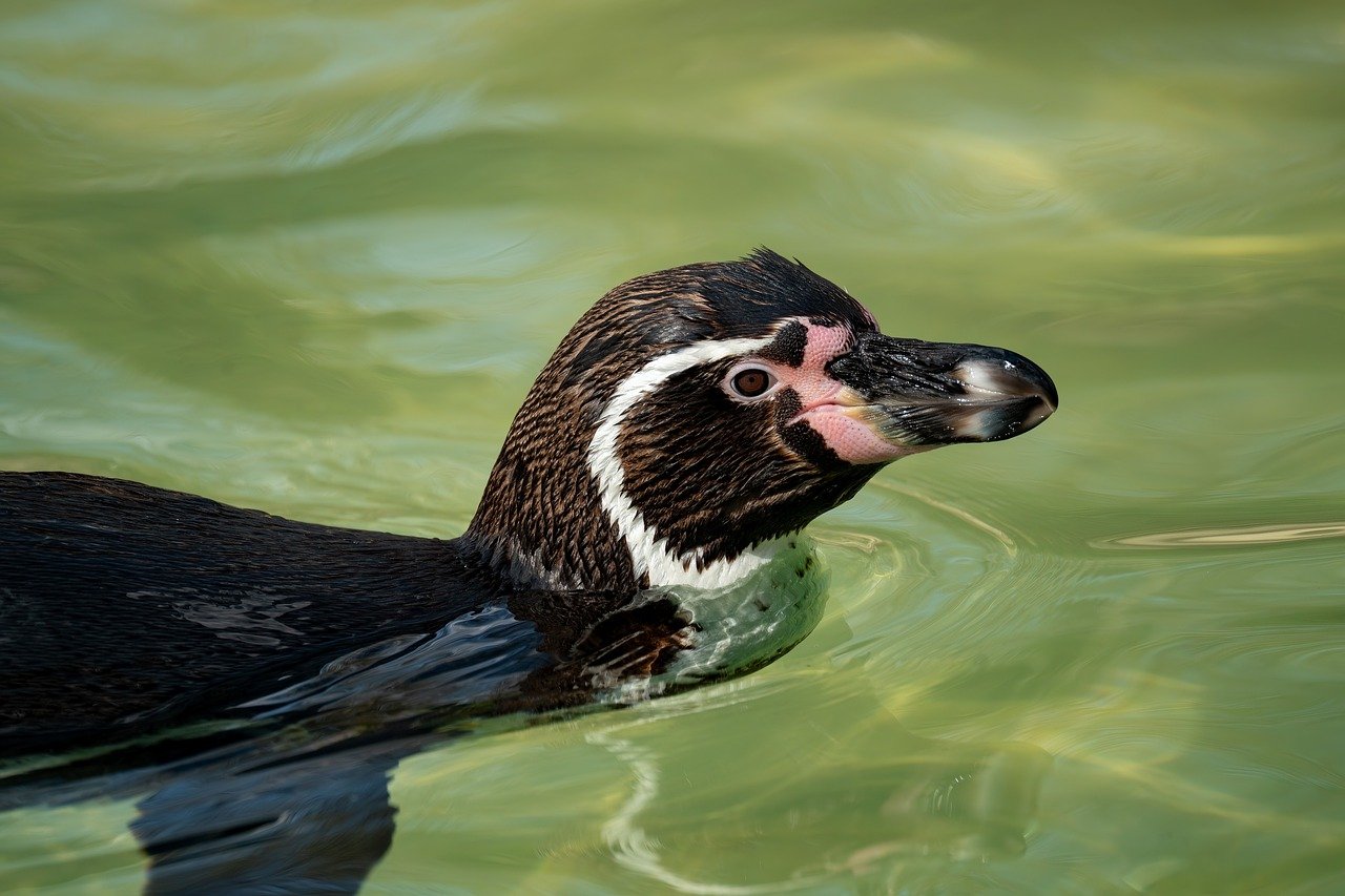 毛穴ケアの40代におすすめの方法は？